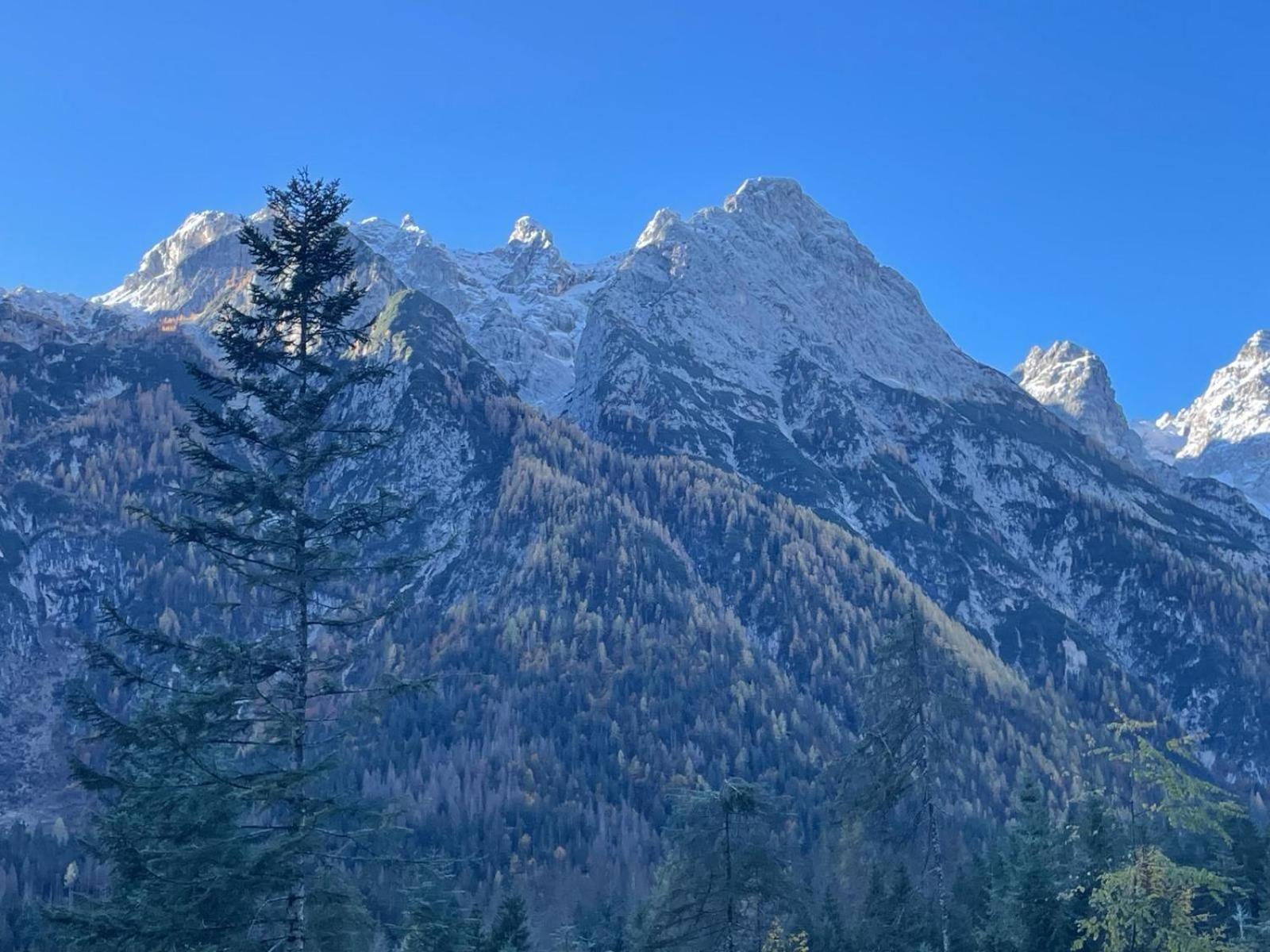 Al Mughetto Hotel Auronzo di Cadore Exterior foto